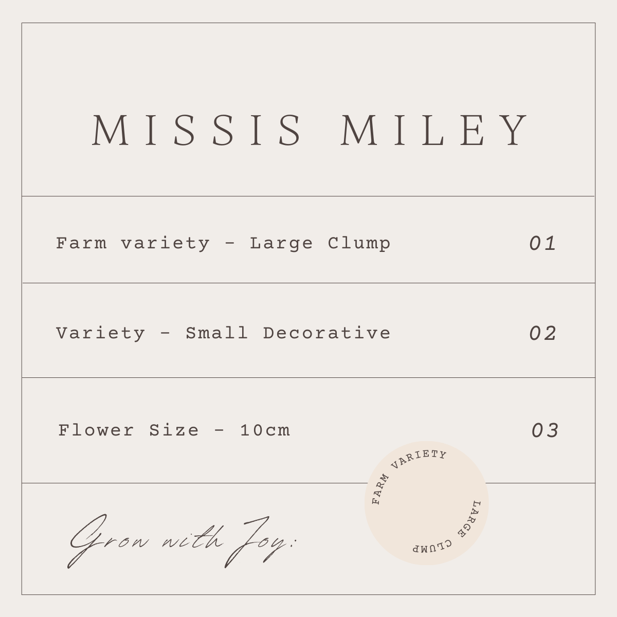 MISSES MILEY - 1 CLUMP