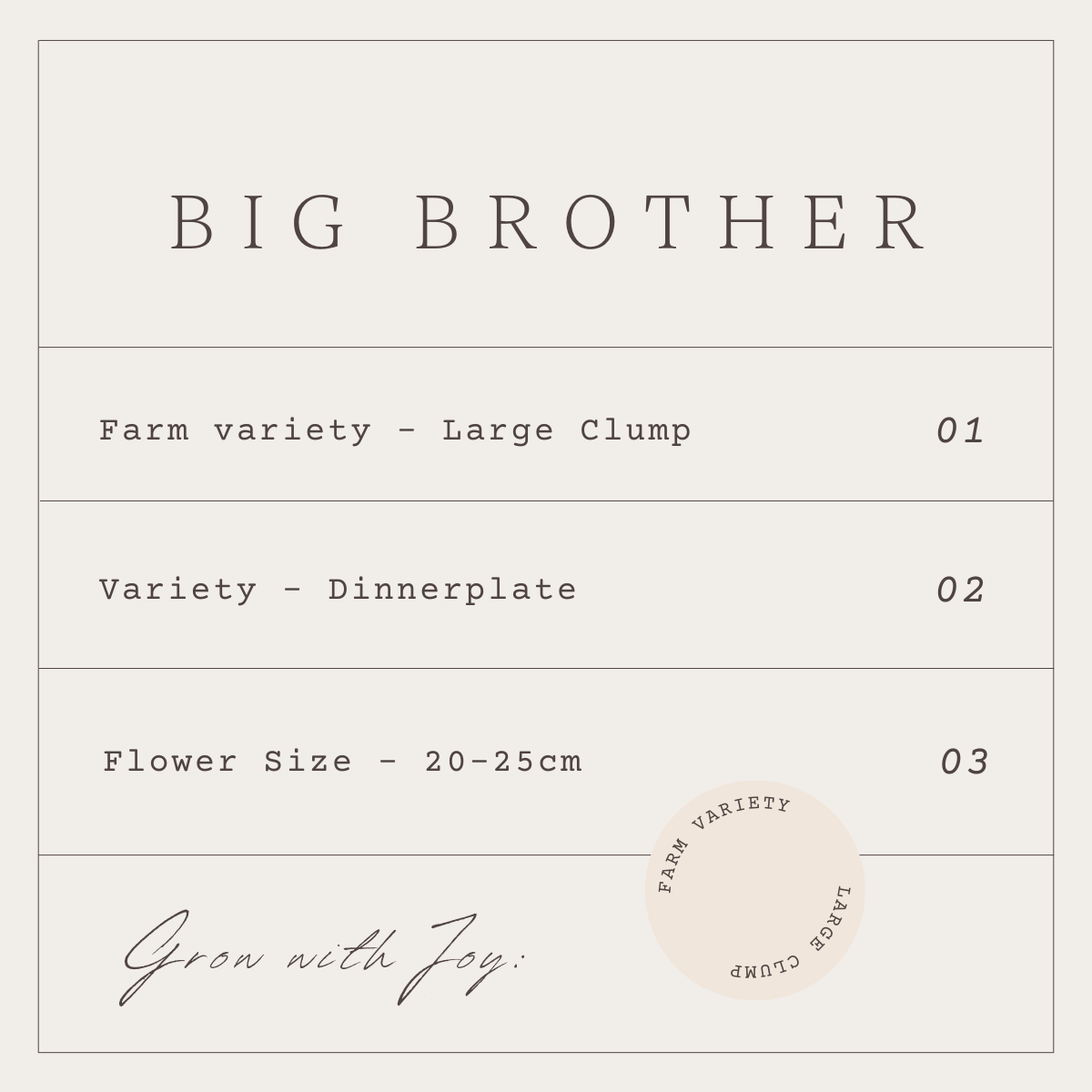 BIG BROTHER - 1 CLUMP