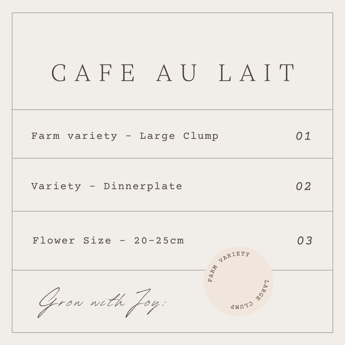 CAFE AU LAIT - 1 CLUMP