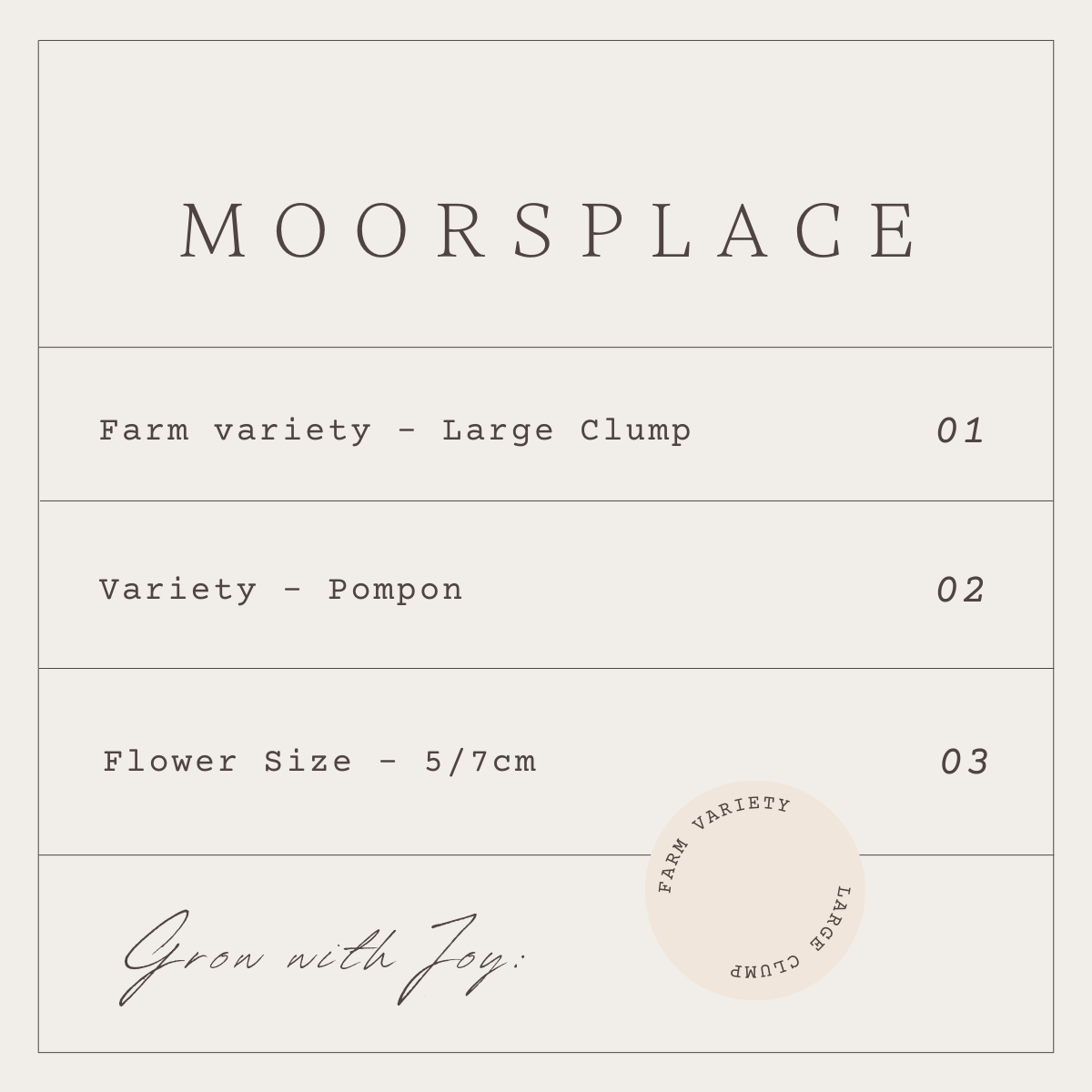 MOORSPLACE - 1 CLUMP