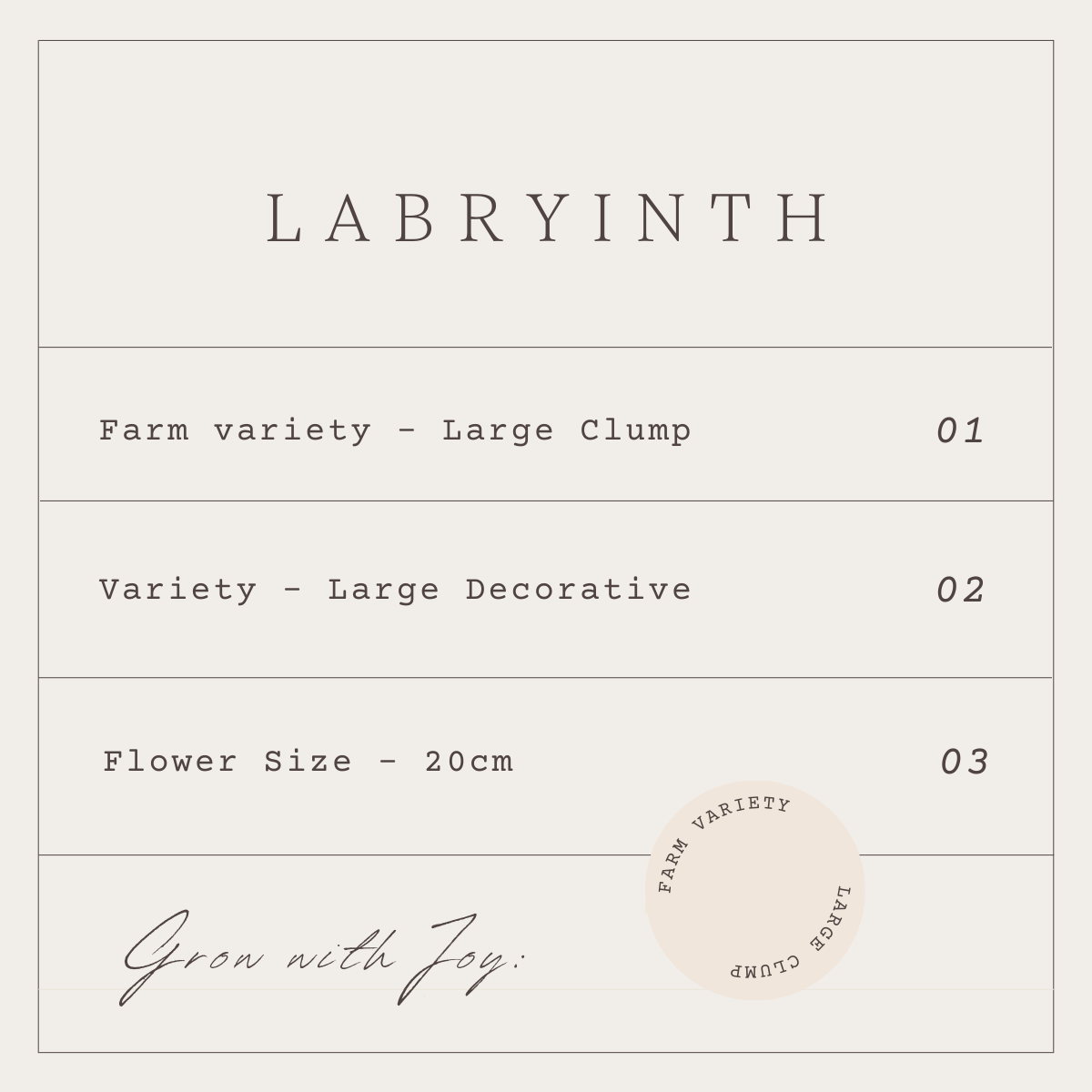 LABRYINTH - 1 CLUMP