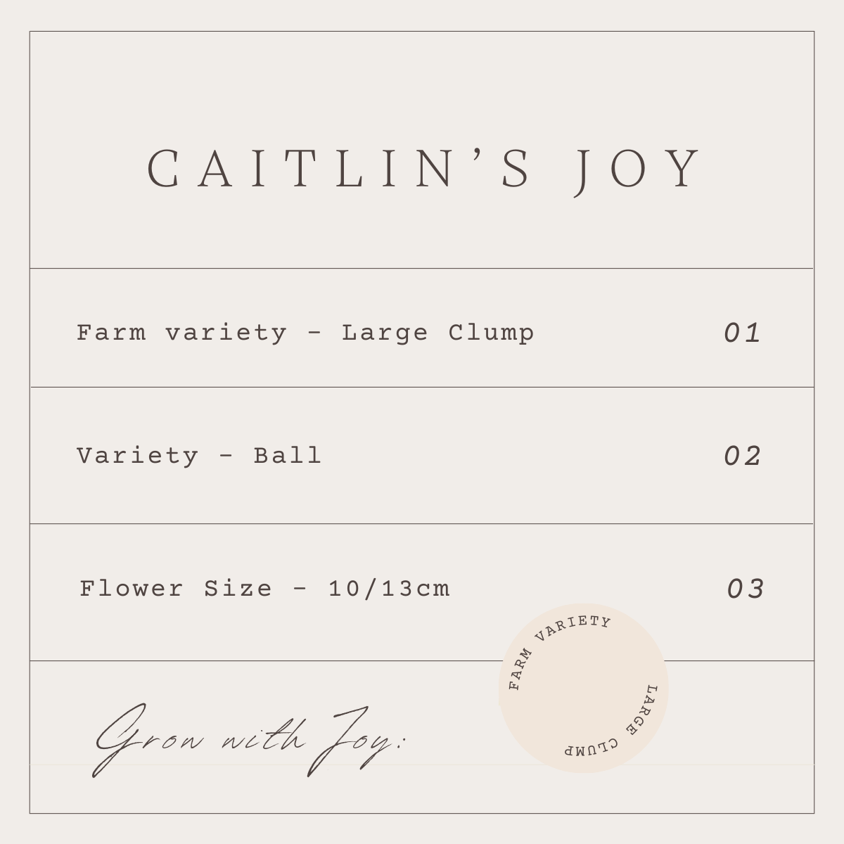 CAITLIN'S JOY - 1 CLUMP