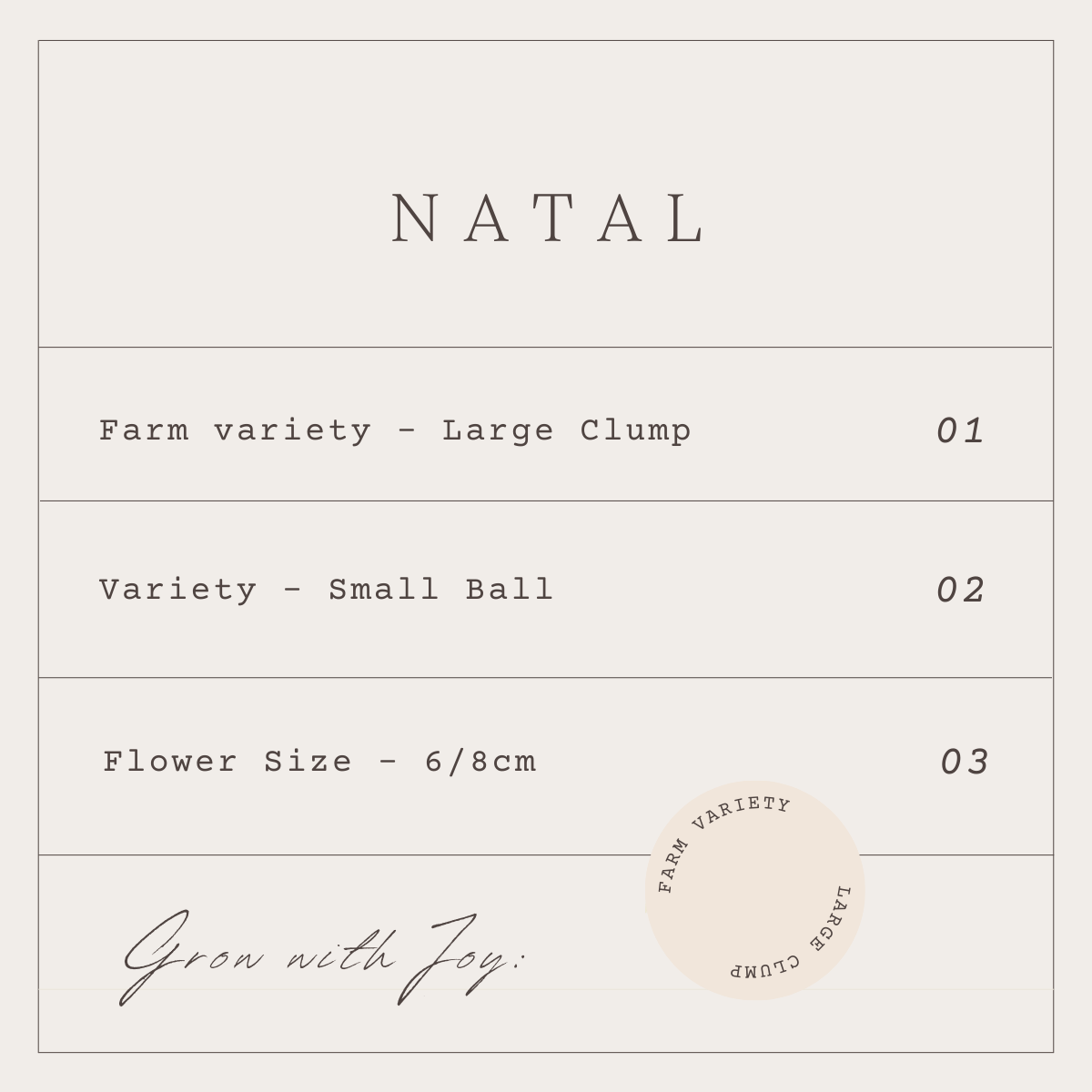 NATAL - 1 CLUMP