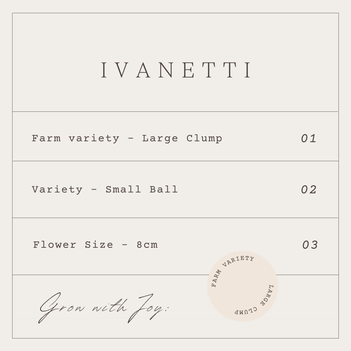 IVANETTI - 1 CLUMP