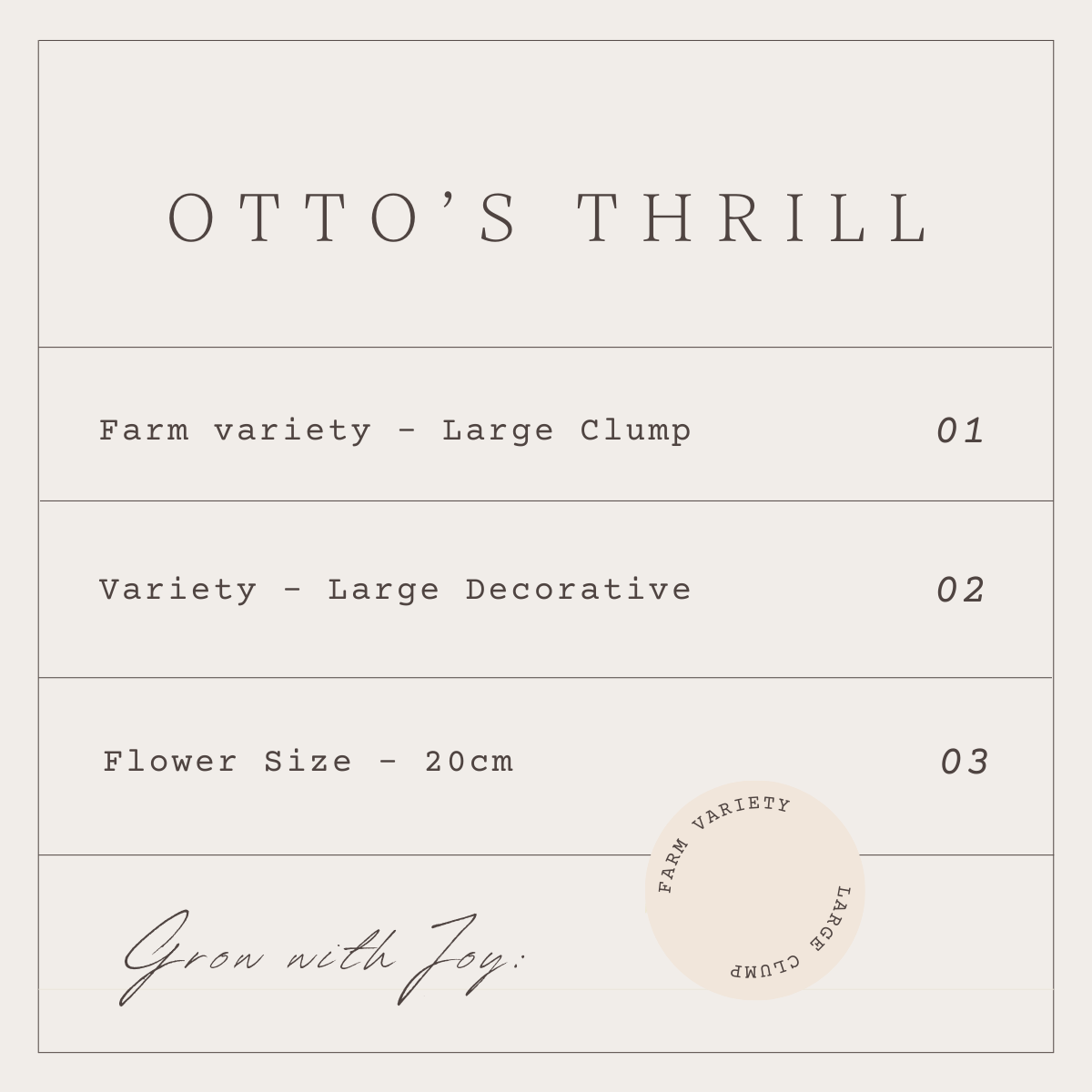 OTTO'S THRILL - 1 CLUMP