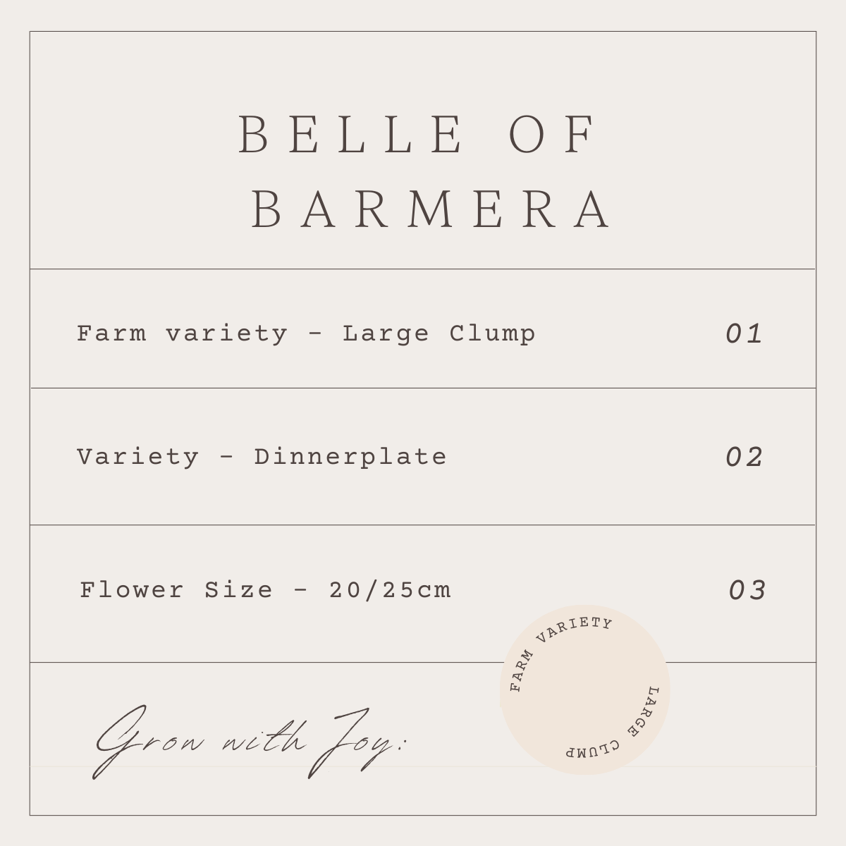 BELLE OF BARMERA