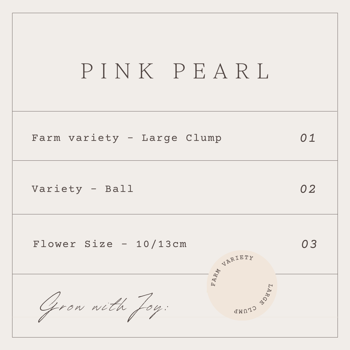 PINK PEARL - 1 CLUMP