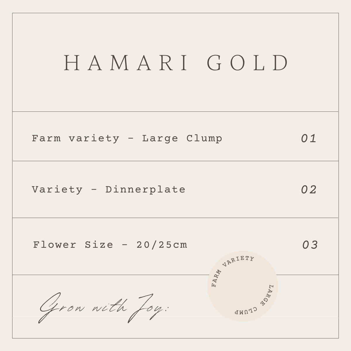 HAMARI GOLD - 1 CLUMP