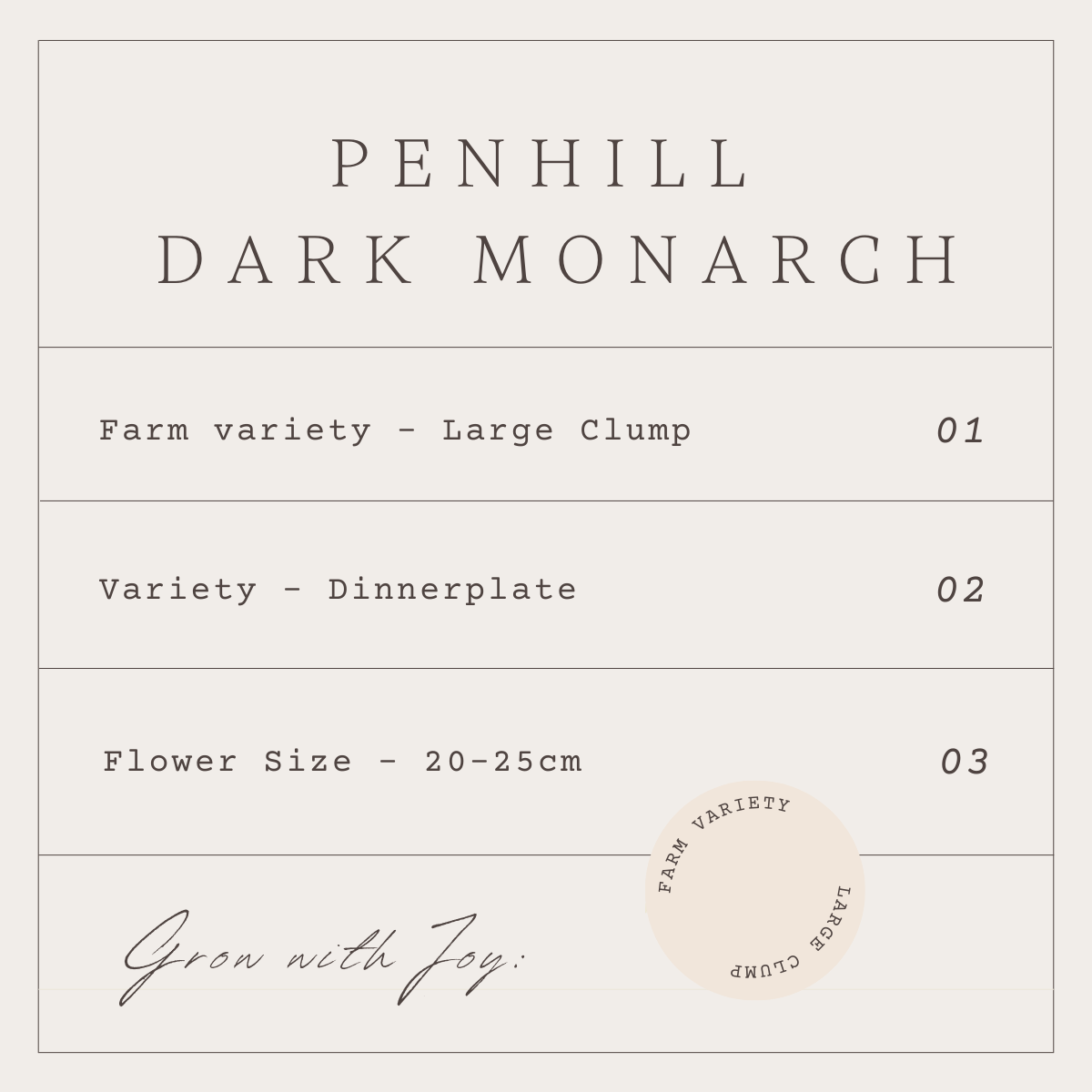 PENHILL DARK MONARCH - 1 CLUMP