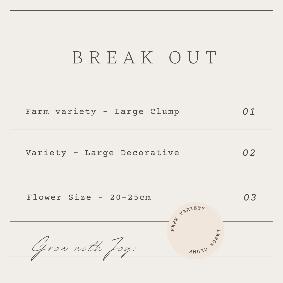 BREAK OUT - 1 CLUMP