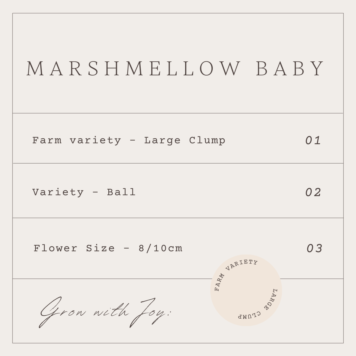 MARSHMELLOW BABY- 1 CLUMP