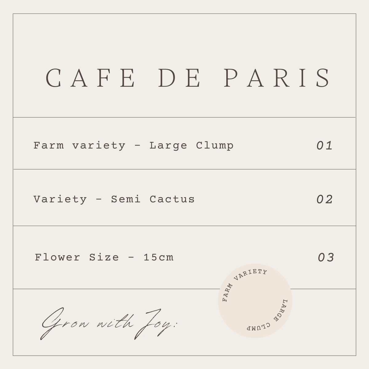 CAFE DE PARIS - 1 CLUMP