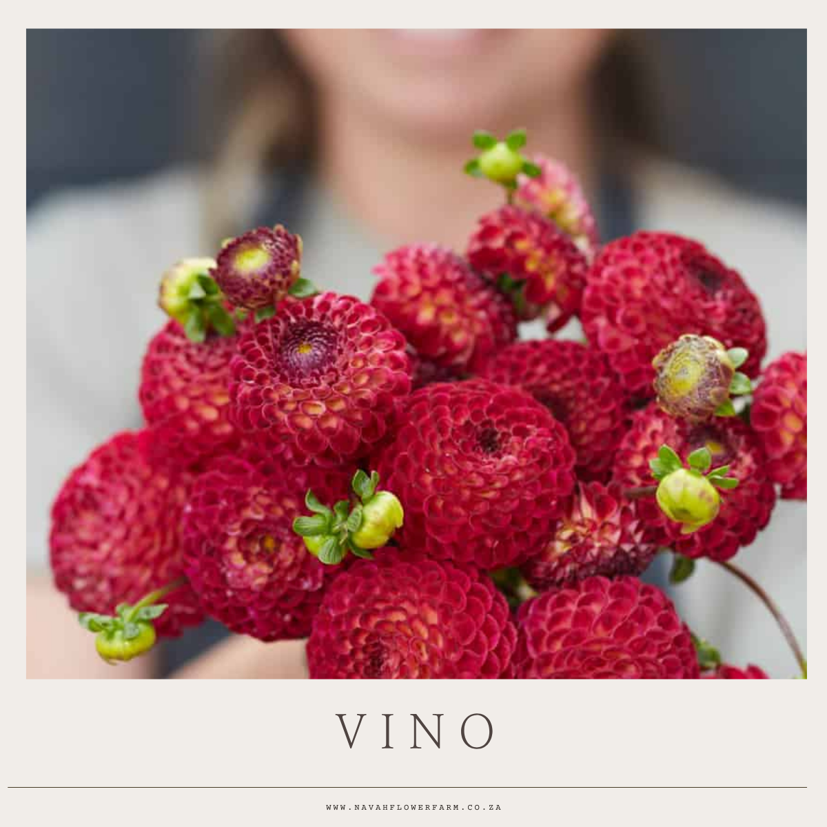 BERRY SHADES MIX - 9 CLUMPS