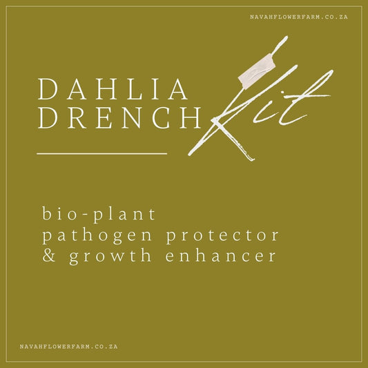 DAHLIA DRENCH KIT  1X HOME GARDENER