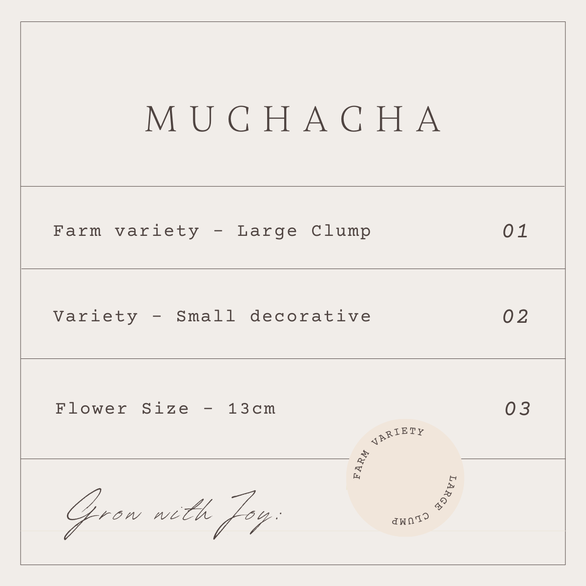 MUCHACHA - 1 CLUMP
