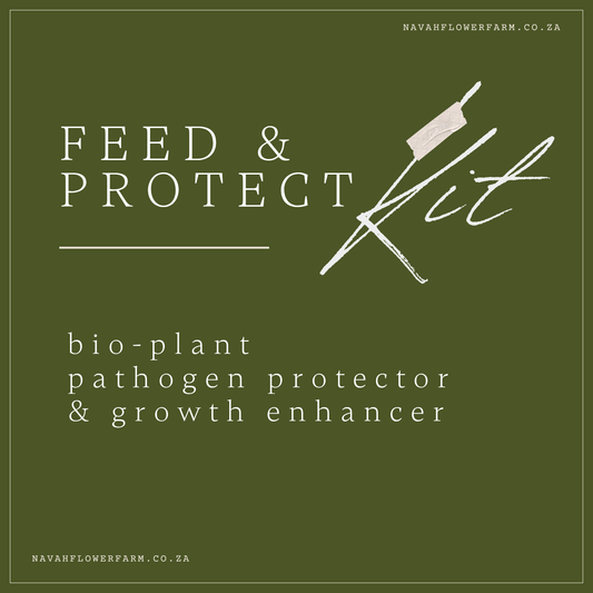 FEED & PLANT PROTECT SPRAY KIT